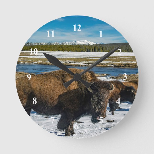 Horloge Ronde Noël de Buffalo (Recto)