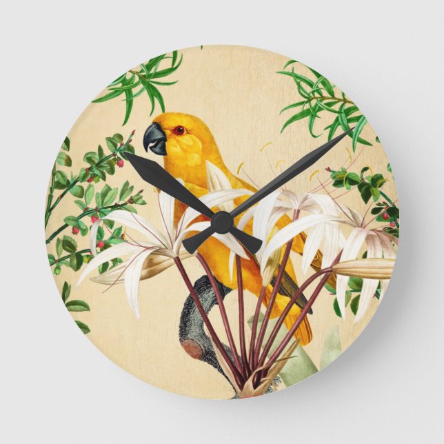 HORLOGE RONDE OISEAU TROPICALE DE PARROT 9 (Recto)