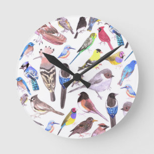 Horloge Ronde Oiseaux d'Amérique - animaux de compagnie et oise