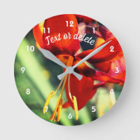 Orange de feu Fleur diurne personnalisée