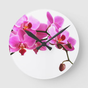 Horloge Ronde Orchidée Runde Wanduhr
