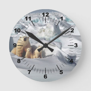 Horloge Ronde Ours Polaire Cubs Photo Neige