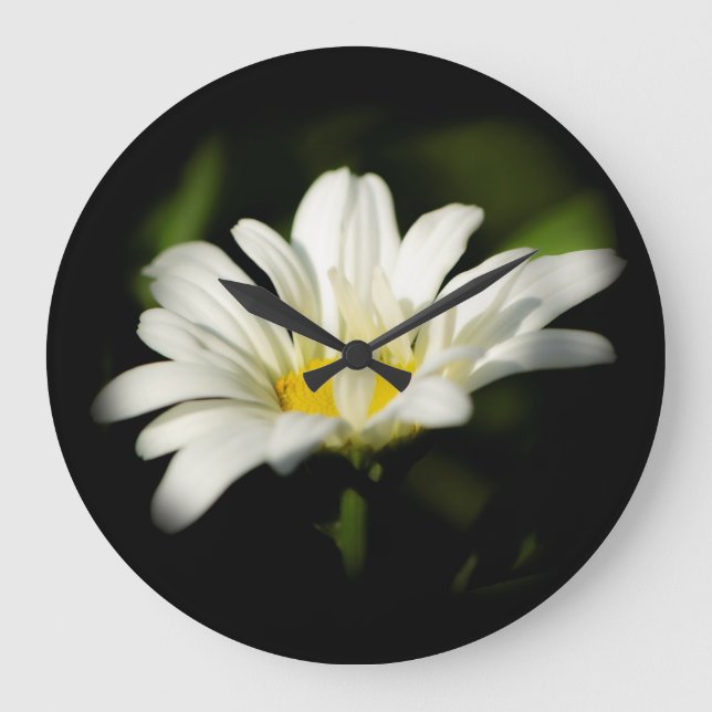 Horloge ronde Oxeye Daisy (Recto)