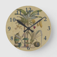 Palm Antique Fruit Tropical Art Botanique