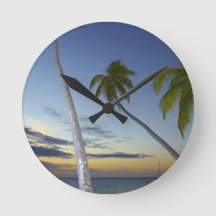 Horloge Ronde Palm trees and sunset, Plantation Island