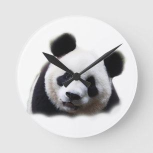 Horloge Ronde Panda