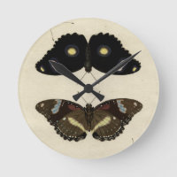 Papillon coloré Medley sur Arrière - plan de crème