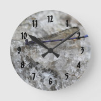 Papillon pourpre sur Quartz Rock Nature