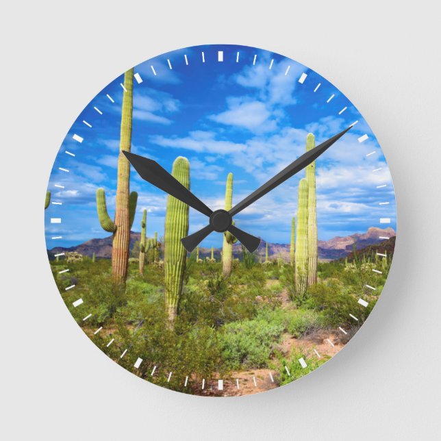 Horloge Ronde Paysage de cactus du désert, Arizona (Recto)