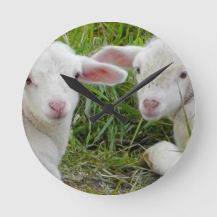 Horloge Ronde Pensée animale de bébé jumeau d'agneau à vous