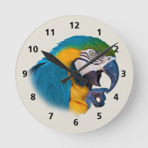 Horloge Ronde Perroquet de bleu et d'or personnalisable