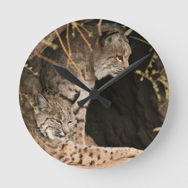 Horloge Ronde Photo de Bobcat (Recto)