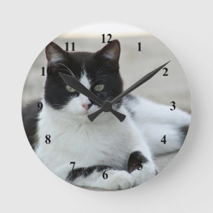 Horloge Ronde Photo de chat noir et blanc Tuxedo