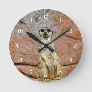 Horloge Ronde Photo de la faune de Meerkat