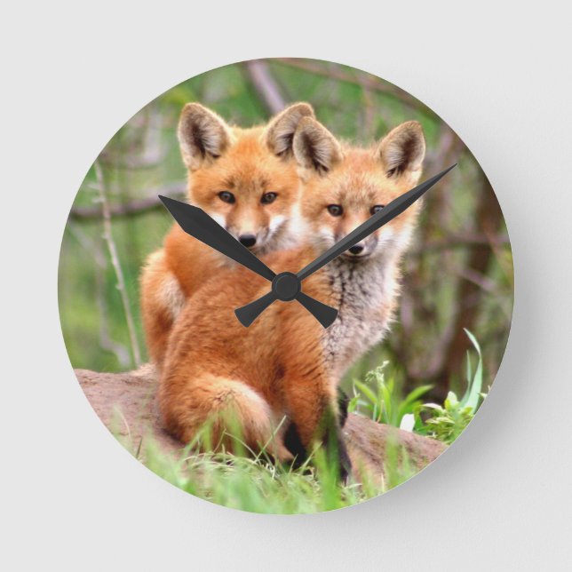 Horloge Ronde Photo de renardeaux roux adorables assis ensemble (Recto)