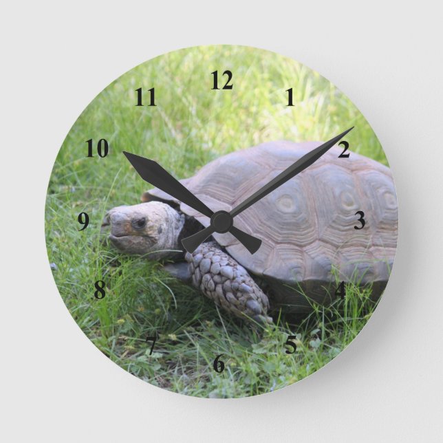 Horloge Ronde Photo de tortue Brown de la faune (Recto)