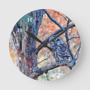 Horloge Ronde Photo de Wildlife Barred Owl Tree