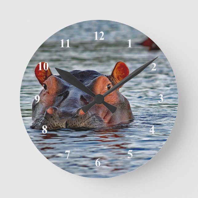Horloge Ronde Photo d'eau d'Hippo Faune (Recto)