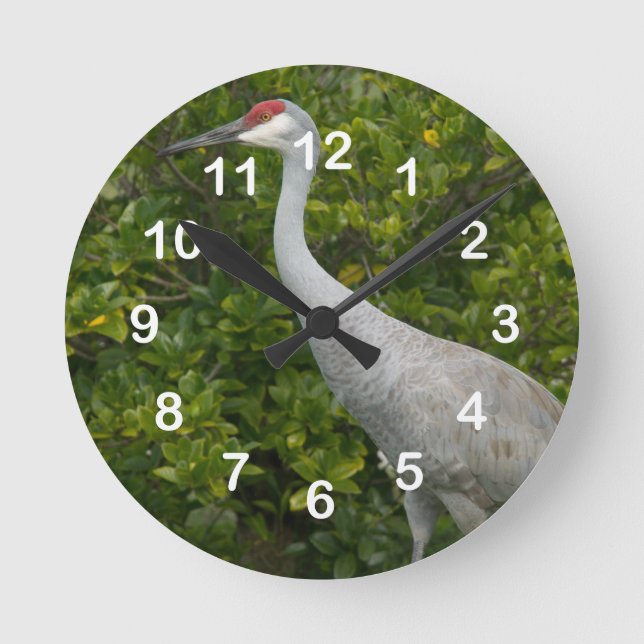 Horloge Ronde Photo d'oiseau de grue de Sandhill (Recto)