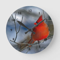 Photo du cardinal Red Winter