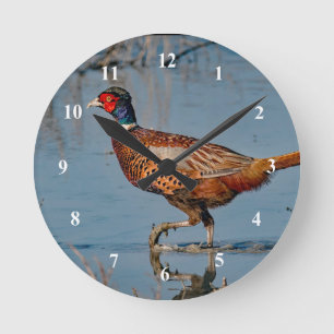 Horloge Ronde Photo eau bleu faisan