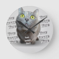 Photo PET ✨ Lovely Custom
