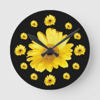 Photographies de la marguerite jaune