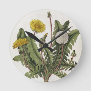 Horloge Ronde Pissenlit (gravure de couleur)