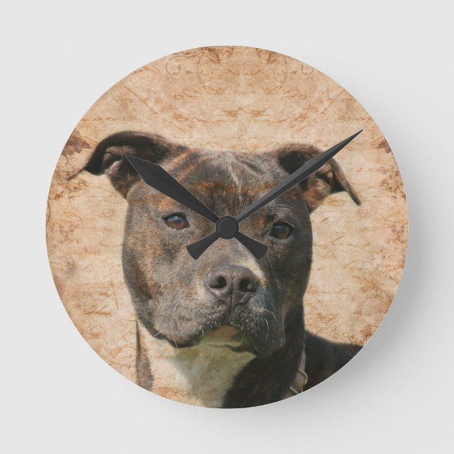 Horloge Ronde Pit Bull Terrier (Recto)