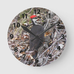 Horloge Ronde Pivert de Pileated picotant l'horloge murale