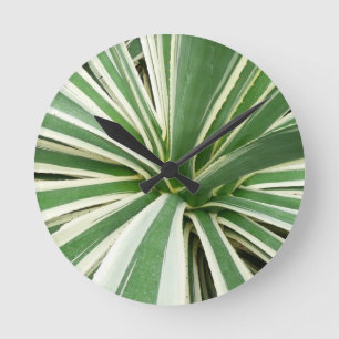Horloge Ronde Plante Agave Vert et blanc rayé