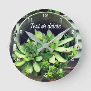 Horloge Ronde Plantes Succulentes Poules Et Poussins Dans Seau P
