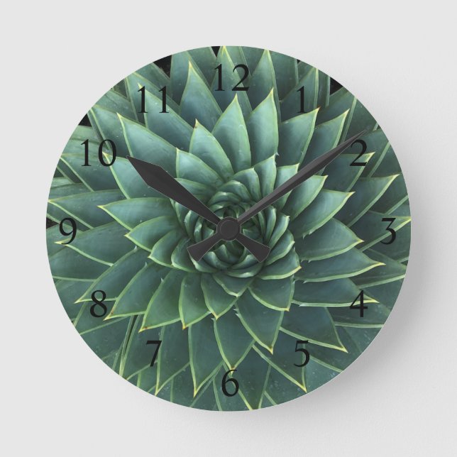 Horloge Ronde Polyphylla Succulente d'Aloe Spirale (Recto)
