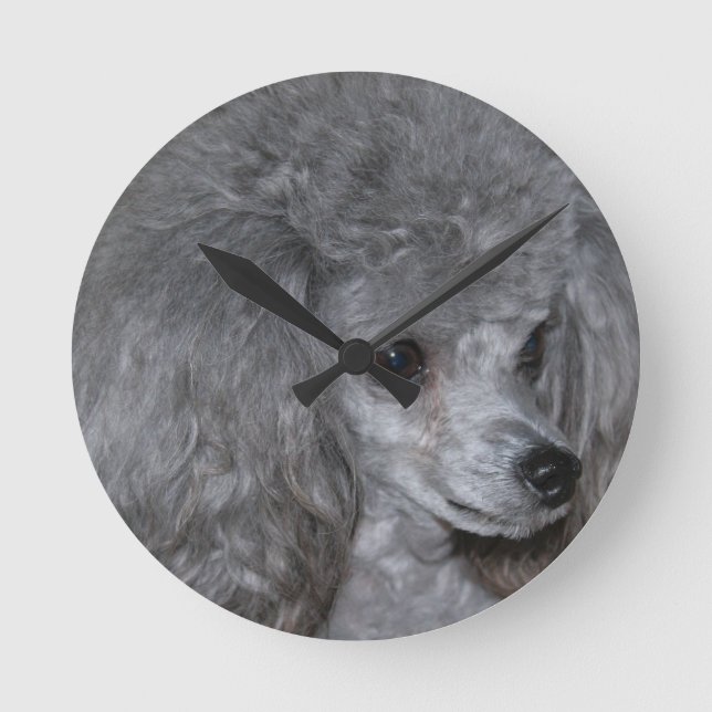Horloge Ronde poodle-9.jpg (Recto)
