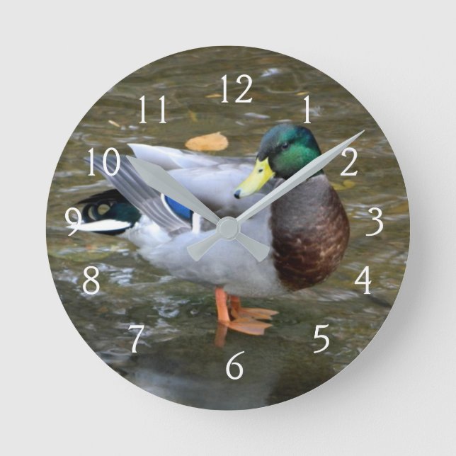 Horloge Ronde Portrait de canard Mallard (Recto)