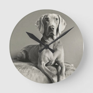 Horloge Ronde Portrait Weimaraner