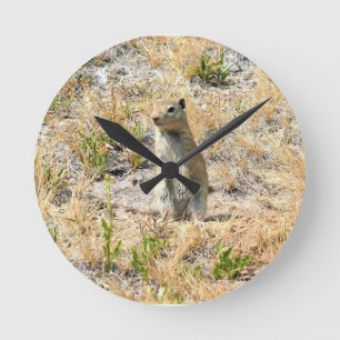 Horloge Ronde Prairie Dog in Yosemite