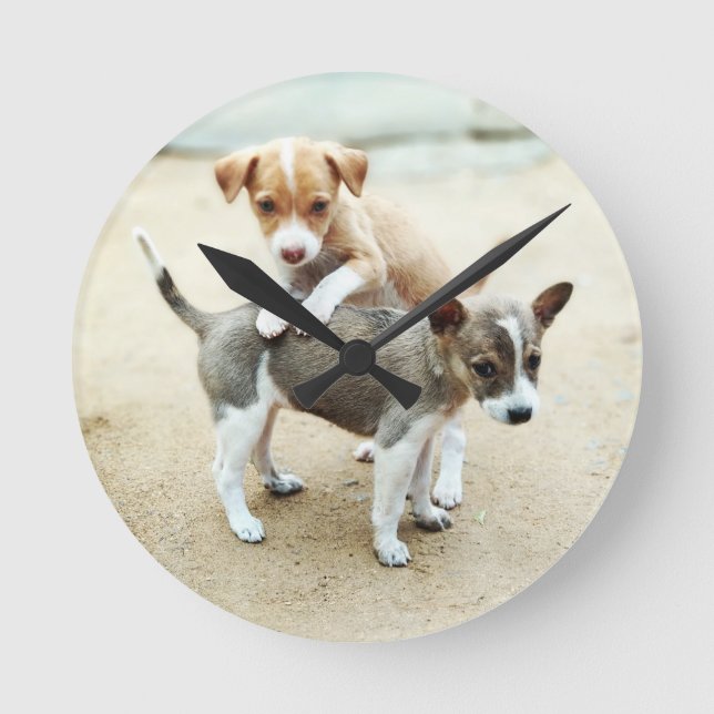 Horloge Ronde Puppies mignonnes jouer sur la plage (Recto)