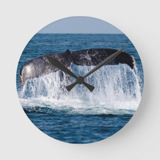 Horloge Ronde Queue de baleine