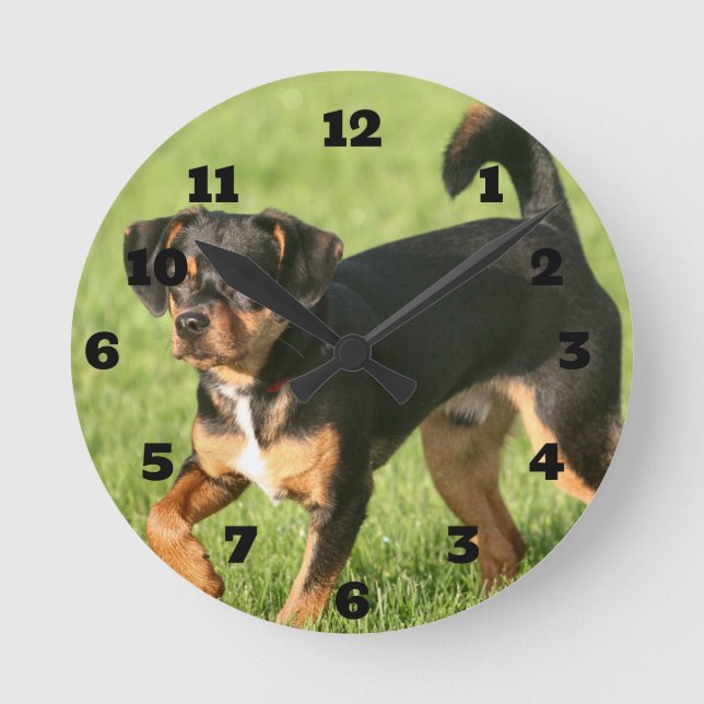 Horloge Ronde Rascal (Recto)