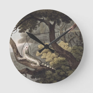 Horloge Ronde Receveur mexicain de lézard, gravé par Matthew