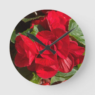 Horloge Ronde Red Begonia Hiemalis