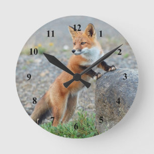 Horloge Ronde Renard rouge debout