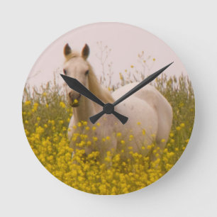 Horloge Ronde Ressort