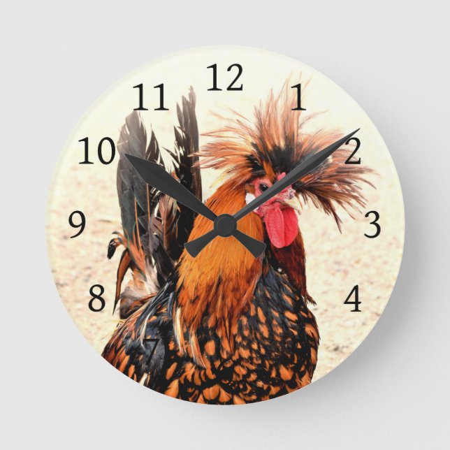 Horloge Ronde Rooster photo 136 (Recto)