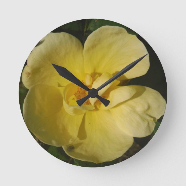 Horloge Ronde Rose jaune sauvage (Recto)