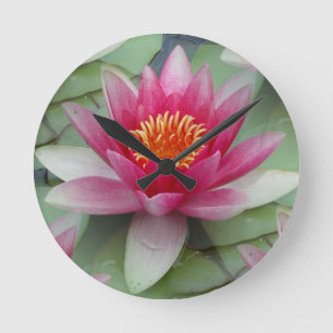Horloge Ronde Rose Lotus Water Lily