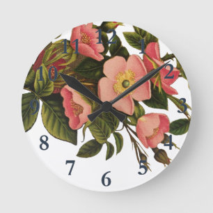 Horloge Ronde Roses Anciennes Jolies Roses Botaniques Roses