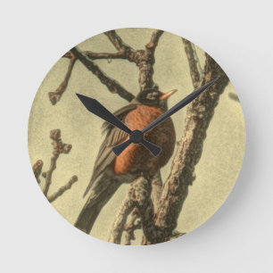 Horloge Ronde Rustic Tree branches Michigan State Bird Robin