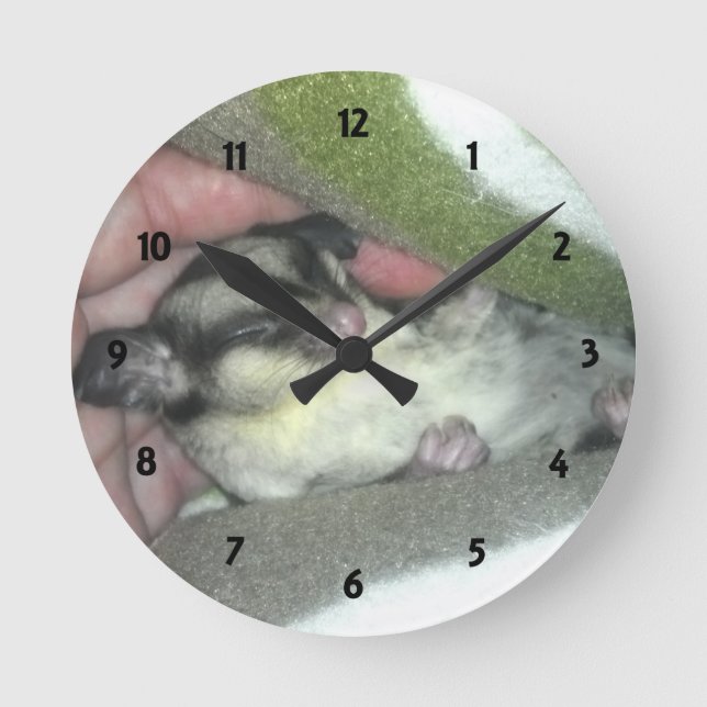 Horloge Ronde Saigneuse à sucre dormant dans la couverture (Recto)